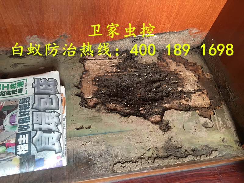 �����ɳ���ɱ�����Ϲ�˾