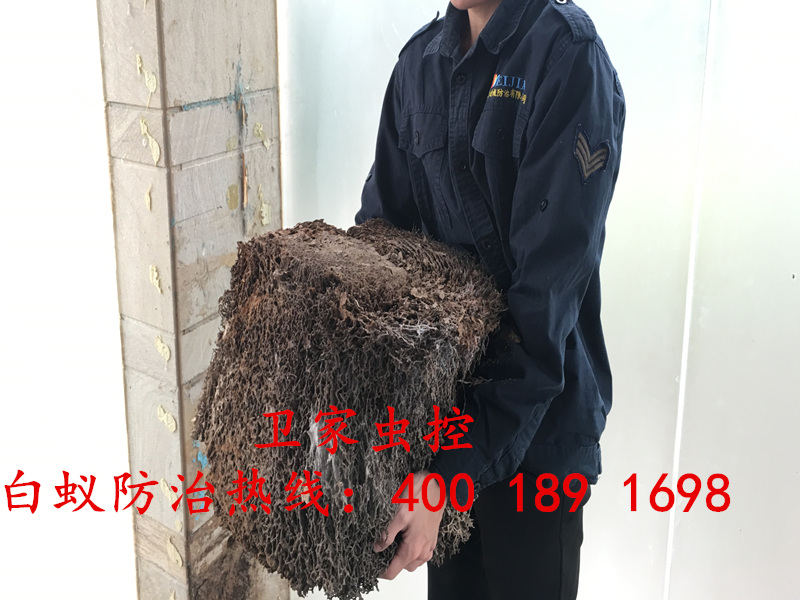 ����������ɱ�����Ϲ�˾