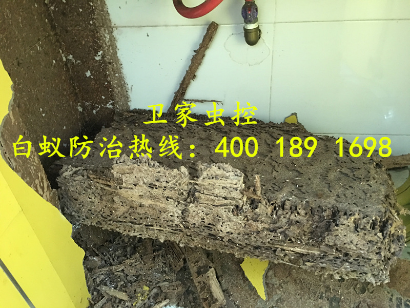 ˳�¾�����ɱ�����Ϲ�˾