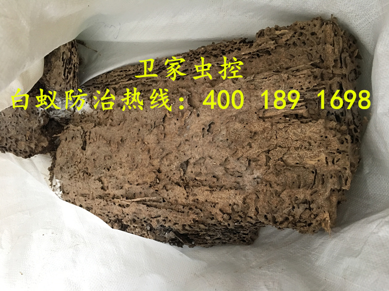 ˳���ݹ���ɱ�����Ϲ�˾