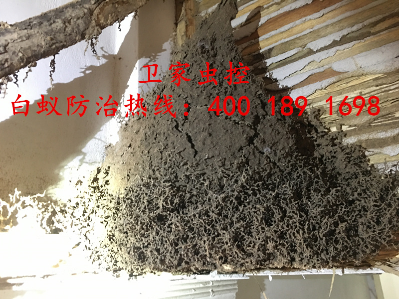 ˳�´�����ɱ�����Ϲ�˾