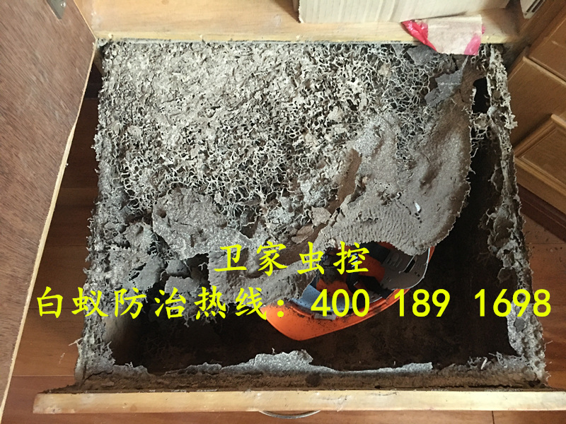 ˳���׽̰�����ɱ����