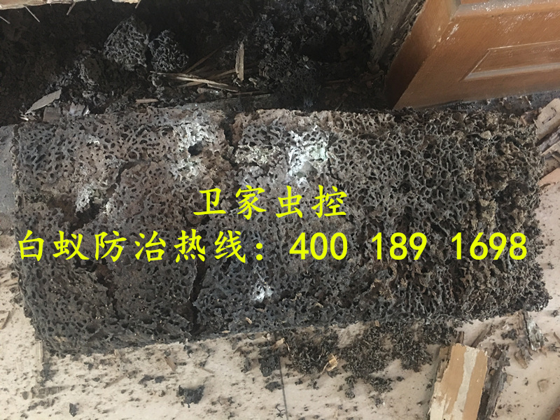 ˳�±��������ɱ����