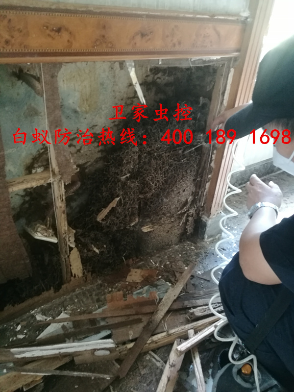 �Ϻ�ƽ�ް�����ɱ����