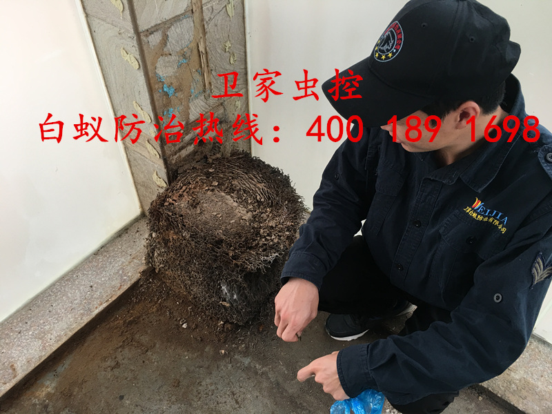 �Ϻ�������ɱ�����Ϲ�˾