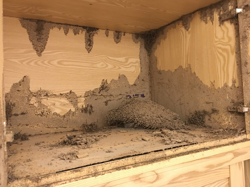 �Ϻ���˳��ɱ�����Ϲ�˾