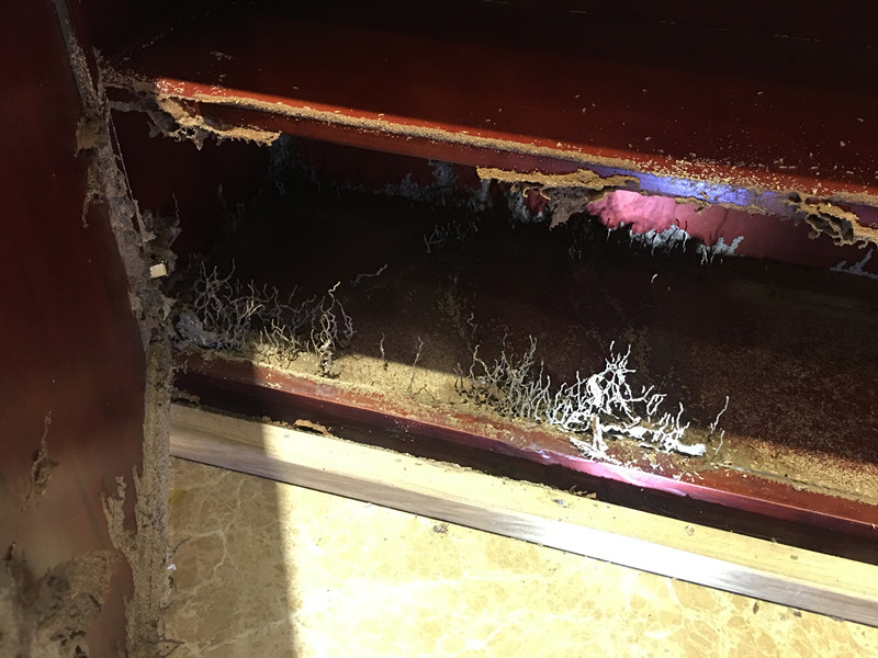 ��ˮ������ɱ���Ϲ�˾